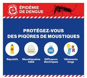 épidémie de dengue