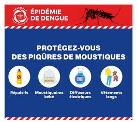 épidémie de dengue