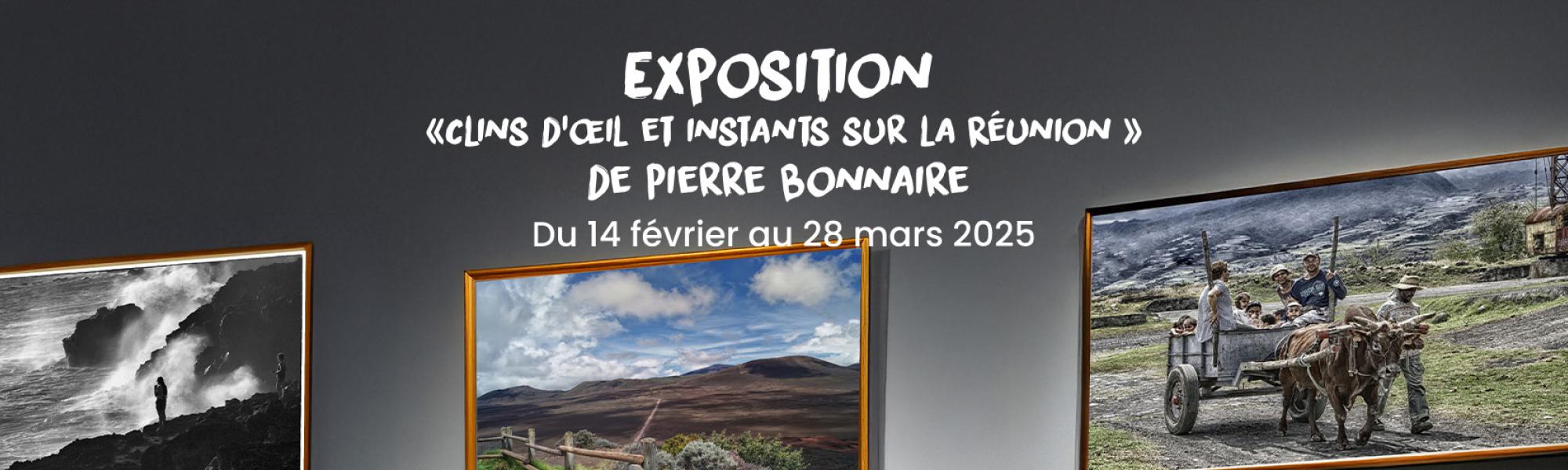 Bandeau exposition Pierre Bonnaire