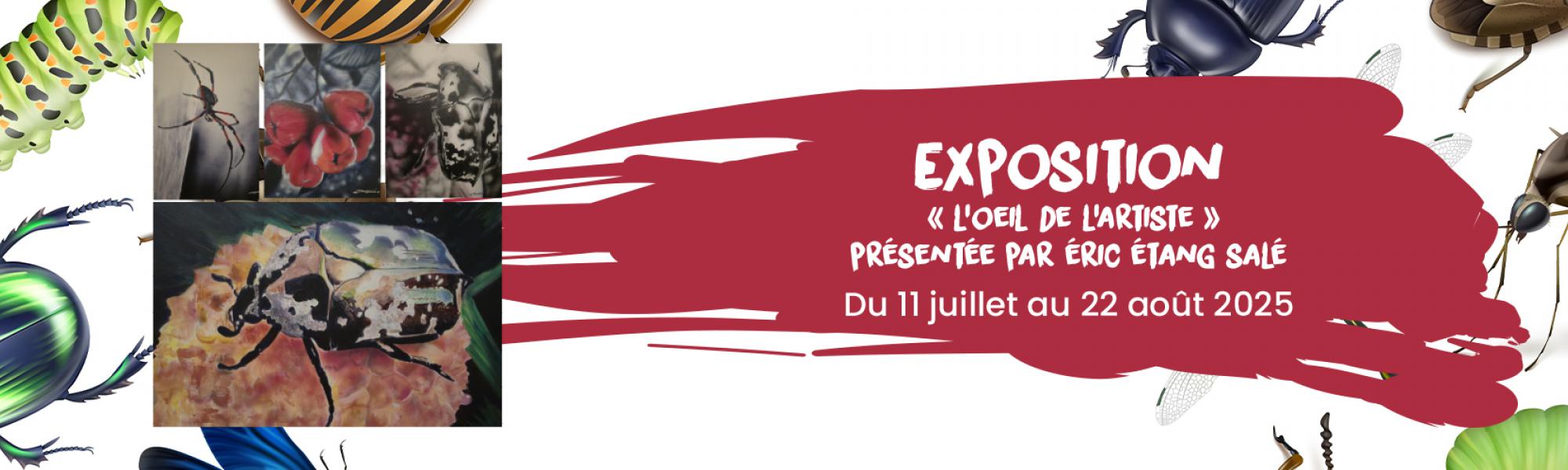 Bandeau exposition "l'oeil de l'artiste" présentée par Éric étang salé