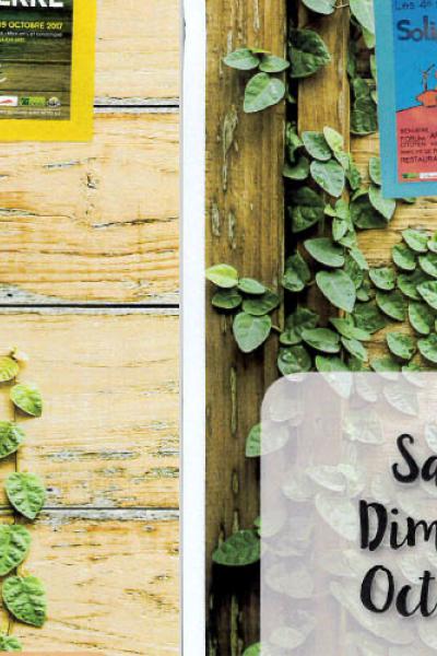 bandeau solidari'terre