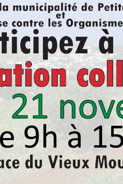Bandeau dératisation du mardi 21 novembre
