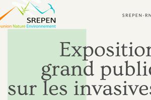 Bandeau exposition sur les invasives
