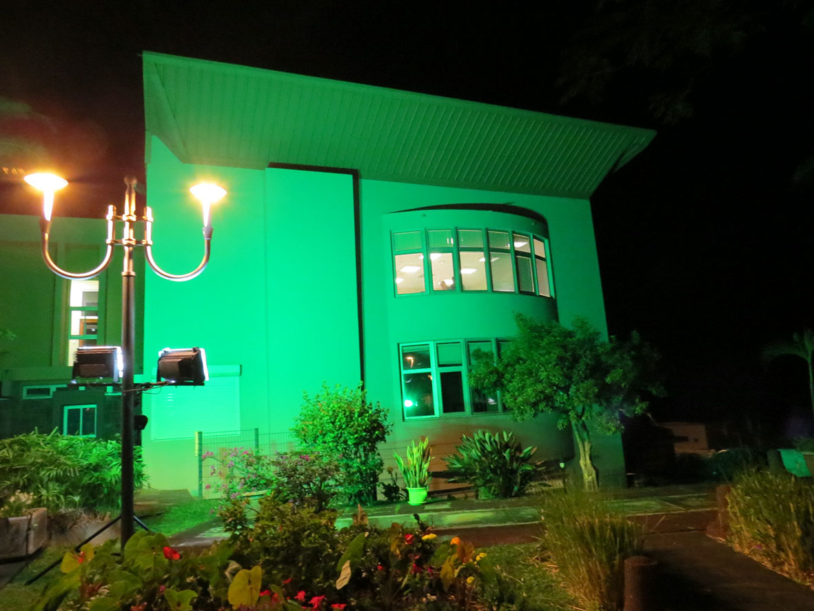 Illumination de la mairie en vert