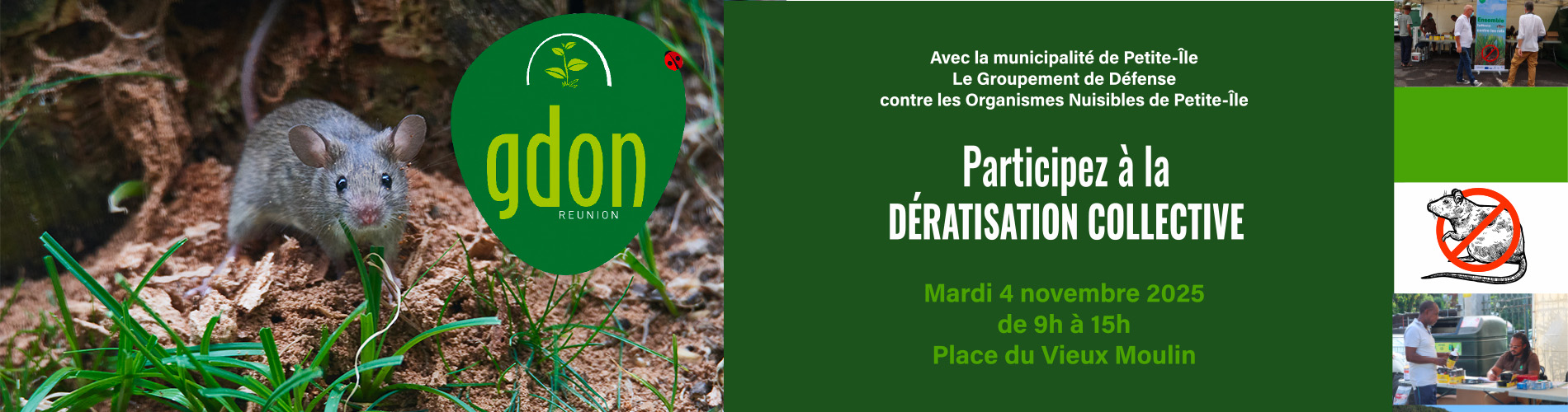 Bandeau dératisation