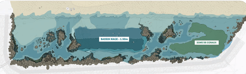 bassin