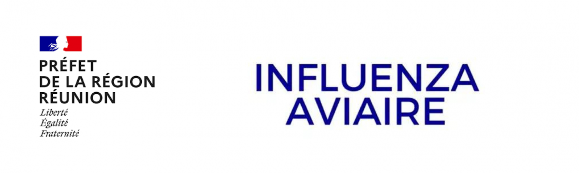 influenza aviaire