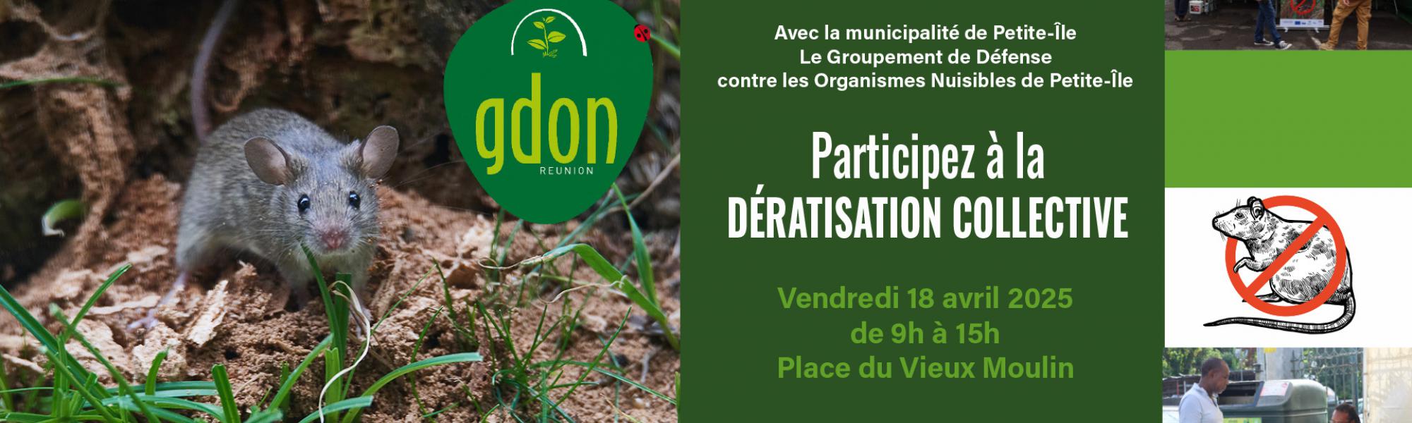 Dératisation du vendredi 18 avril 2025
