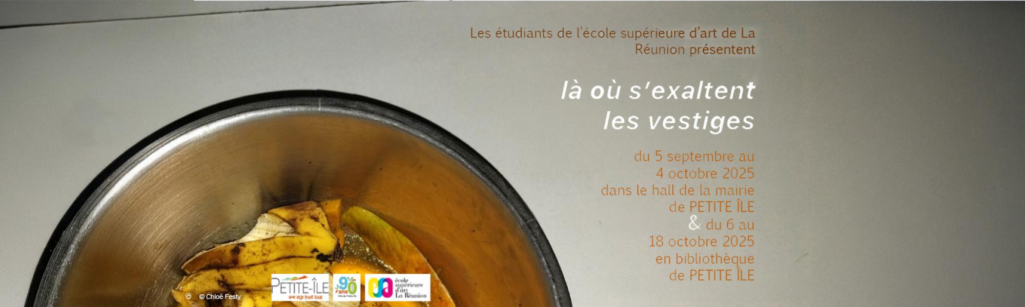 Bandeau exposition "là où s'exaltent les vestiges"