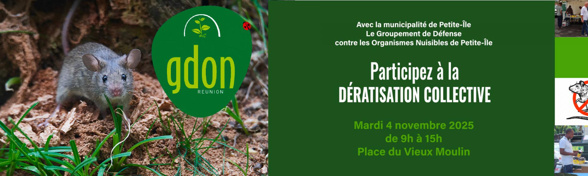 Bandeau dératisation