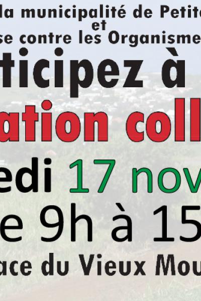 Bandeau dératisation