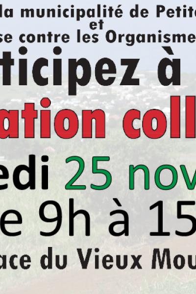 Dératisation du 25/11/22