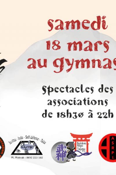 Bandeau festival des arts martiaux