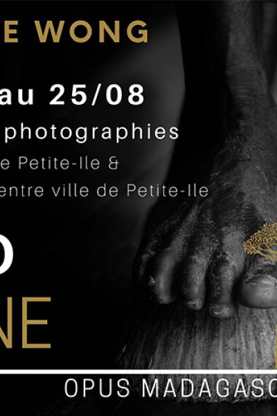 Bandeau expo rasine