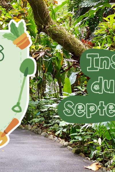 Bandeau concours maisons et jardins fleuris