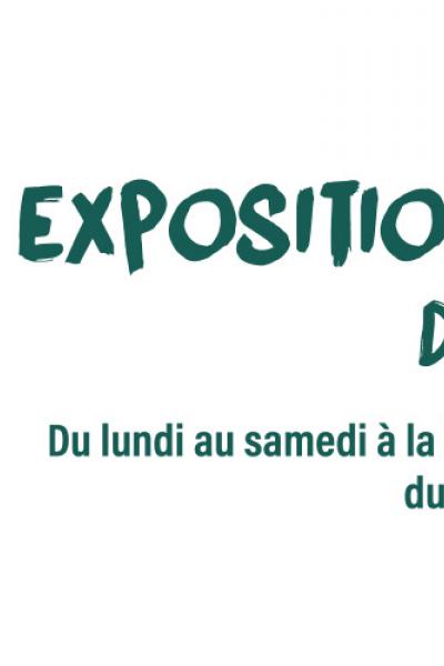 Bandeau exposition "Percevoir"