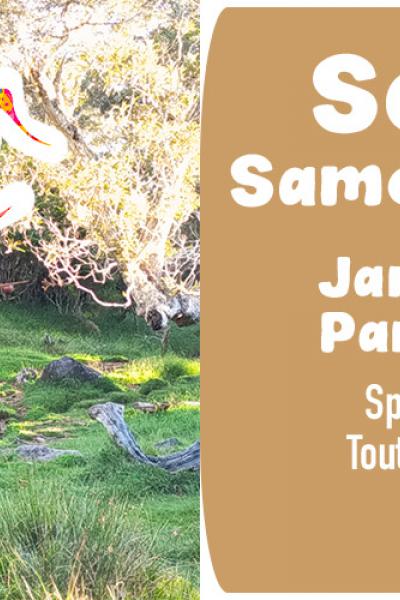 Spectacle "Somin la Foré"
